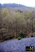 Grube Ameise im Leimbachtal bei Siegen, Westerwald, Nordrhein-Westfalen, (D) (16) 24. April 2016.JPG